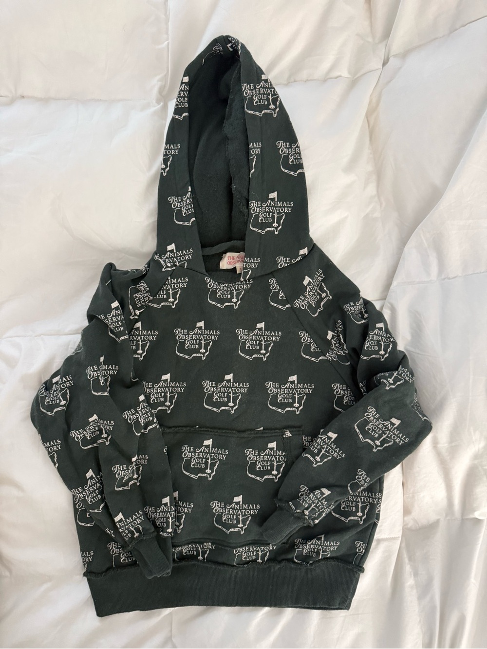 Kids Green Graphic Hoodie Sweatshirt - The Animals Observatory